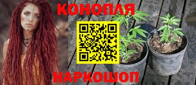 дживик Шелехов