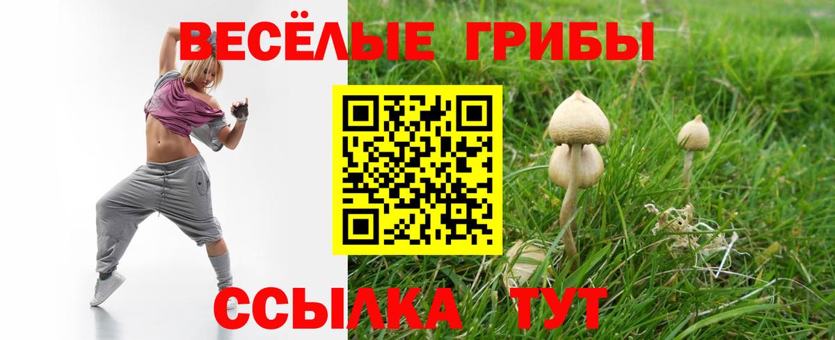 Первоуральск  Псилоцибиновые грибы MAGIC MUSHROOMS  Вход с VPN  Псилоцибиновые грибы мицелий 